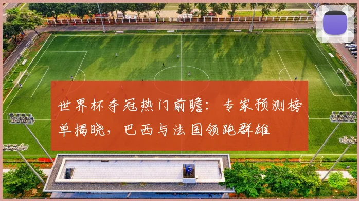 世界杯夺冠热门前瞻：专家预测榜单揭晓，巴西与法国领跑群雄