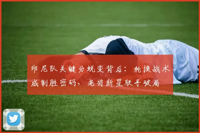 印尼队关键分蜕变背后：轮换战术成制胜密码，老将新星联手破局