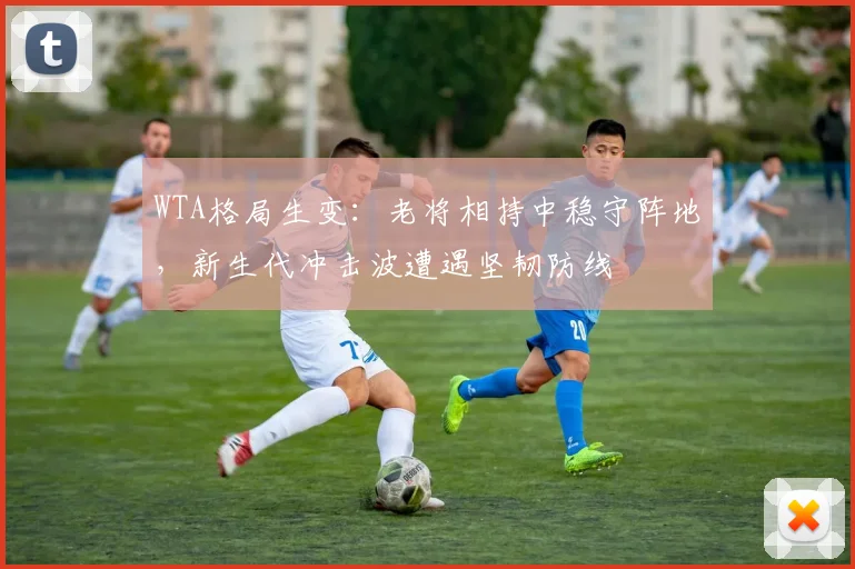 WTA格局生变：老将相持中稳守阵地，新生代冲击波遭遇坚韧防线