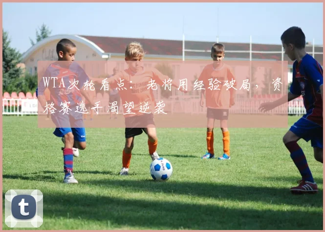 WTA次轮看点：老将用经验破局，资格赛选手渴望逆袭