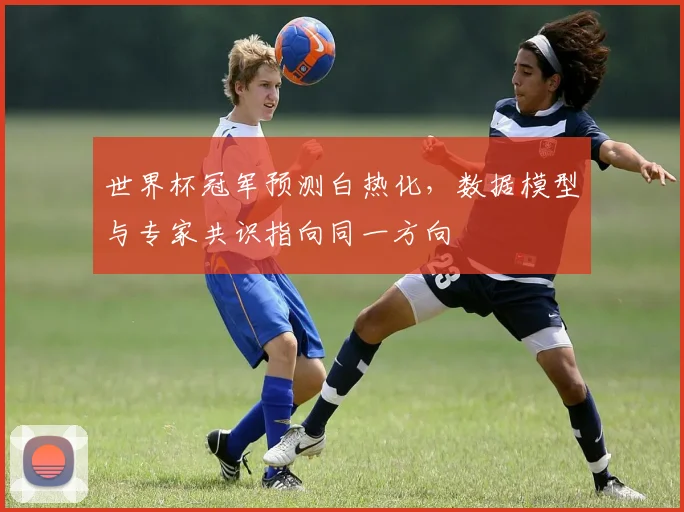 世界杯冠军预测白热化,数据模型与专家共识指向同一方向