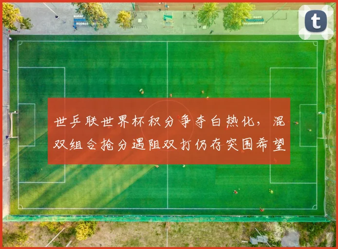 世乒联世界杯积分争夺白热化，混双组合抢分遇阻双打仍存突围希望