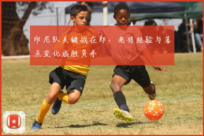 印尼队关键战在即，老将经验与落点变化成胜负手