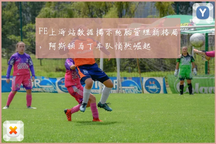 FE上海站数据揭示轮胎管理新格局，阿斯顿马丁车队悄然崛起